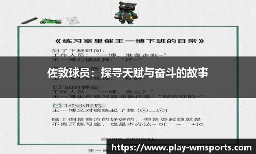 完美体育