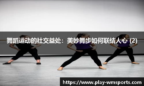 完美体育公司